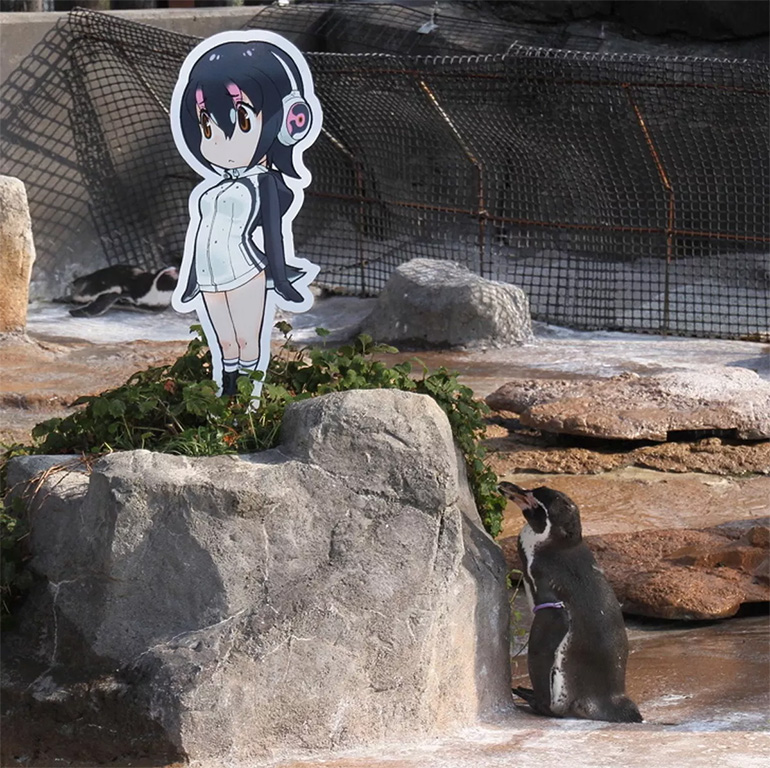 Anime pingvin