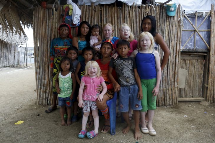 Kuna törzs albínó
