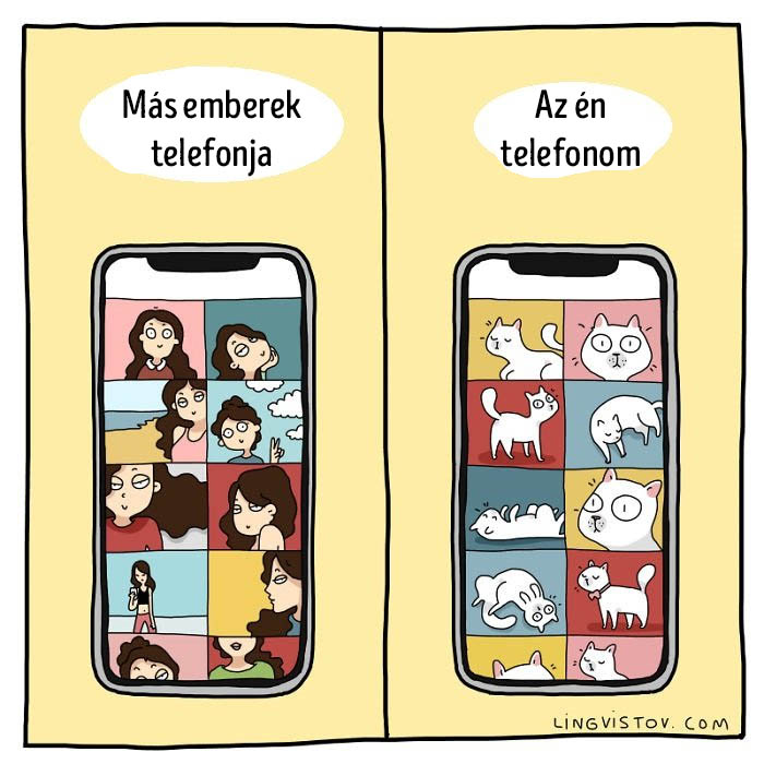 Macska telefon