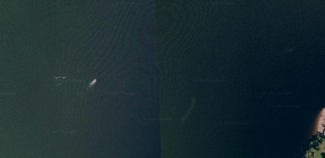LencsevÃ©gre kapott Loch Ness-i szÃ¶rny