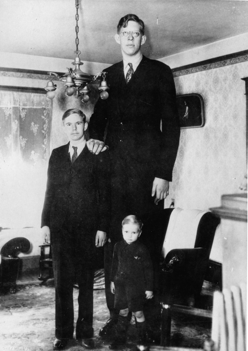 Testvérei teljesen átlagos magasságúak voltak.