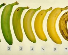 banan (1)