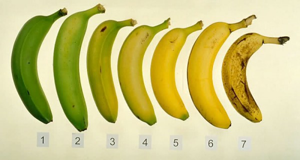 banan (1)