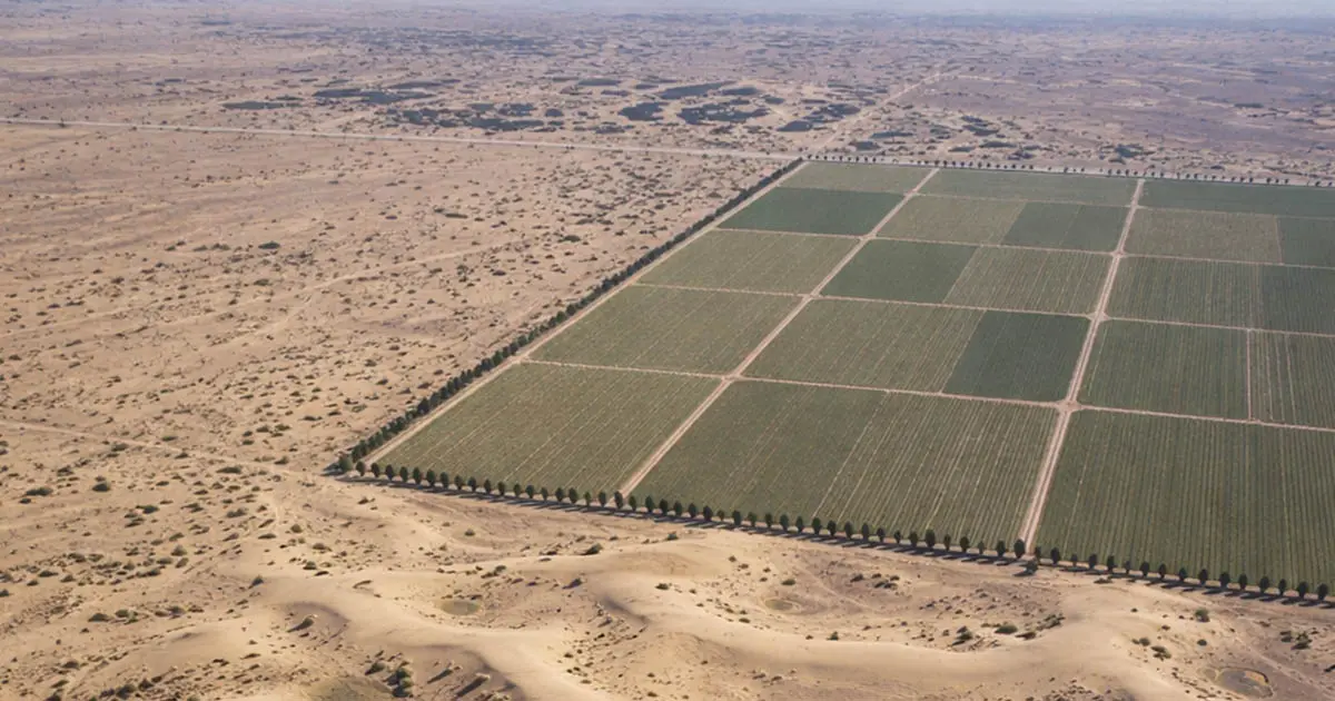 erdősítés, fenntartható fejlődés, globális felmelegedés, Góbi-sivatag, Kína, klímaváltozás, környezetvédelem, Nagy Zöld Fal, ökológia