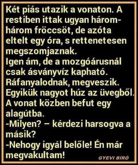 Lehet, hogy egy kép erről: , szöveg, amely így szól: „Két piás utazik a vonaton. A restiben ittak ugyan három- három fröccsöt, de azóta eltelt egy óra, S rettenetesen megszomjaznak. Igen ám, de a mozgóárusnál csak ásványvíz kapható. Ráfanyalodnak, megveszik. Egyikük nagyot húz az üvegből. A vonat közben befut egy alagútba. -Milyen?- kérdezi harsogva a másik? -Nehogy igyál belőle! Én már megvakultam! GYEVI BIRO”
