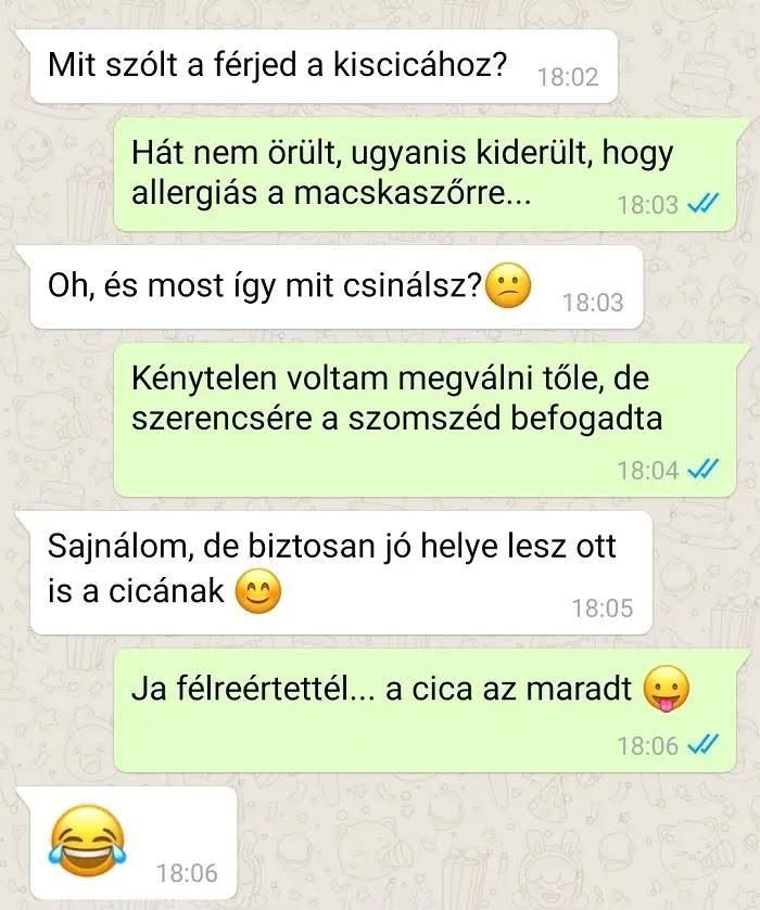 Lehet, hogy egy kép erről: , szöveg, amely így szól: „Mit szólt a férjed a kiscicához? 18:02 Hát nem örült, ugyanis kiderült, hogy allergiás a macskaszőrre... 18:03 Oh, és most így mit csinálsz? 18:03 Kénytelen voltam megválni tőle, de szerencsére a szomszéd befogadta 18:04 Sajnálom, de biztosan jó helye lesz ott is a cicának 18:05 Ja félreértettél... a cica az maradt 18:06 18:06”