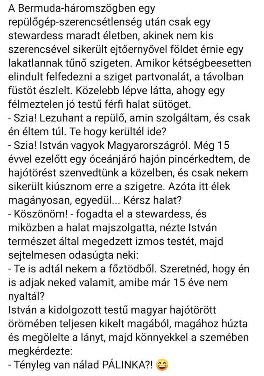 Lehet, hogy egy kép erről: szöveg