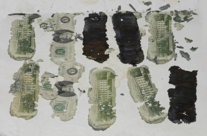 A Columbia folyó partján megtalált, félig elrohadt bankjegyek
